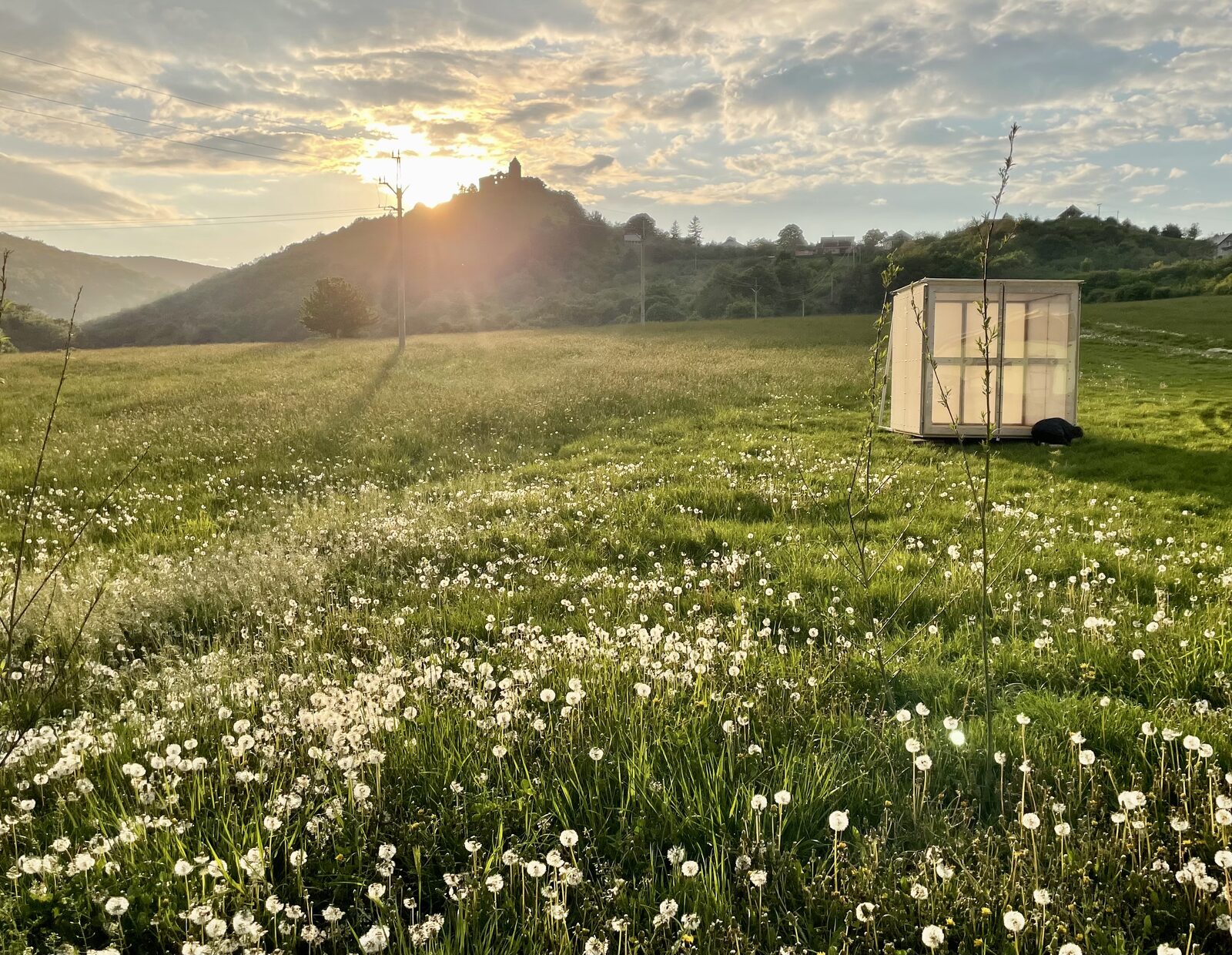 Lúka púpav s box-galériou a Topoľčianskym hradom pri západe slnka